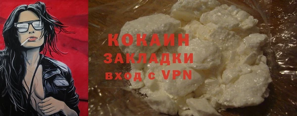 твердый Арсеньев
