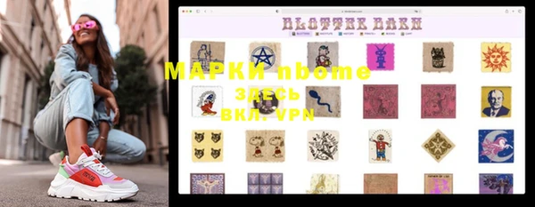 хмурый Алексин