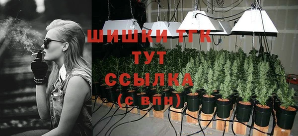 твердый Арсеньев