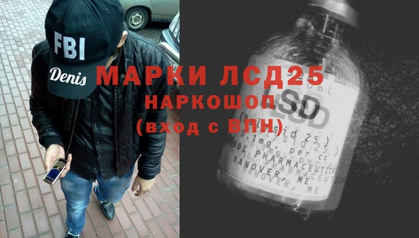 хмурый Алексин