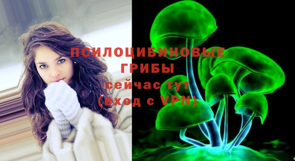мяу мяу мука Аркадак