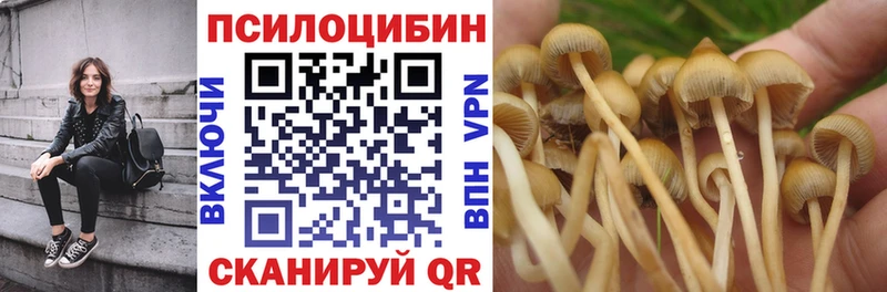Псилоцибиновые грибы прущие грибы  Лянтор 