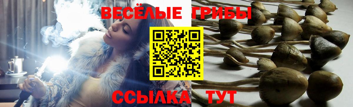 Лянтор  Галлюциногенные грибы прущие грибы  Вход с VPN  Псилоцибиновые грибы Magic Shrooms 
